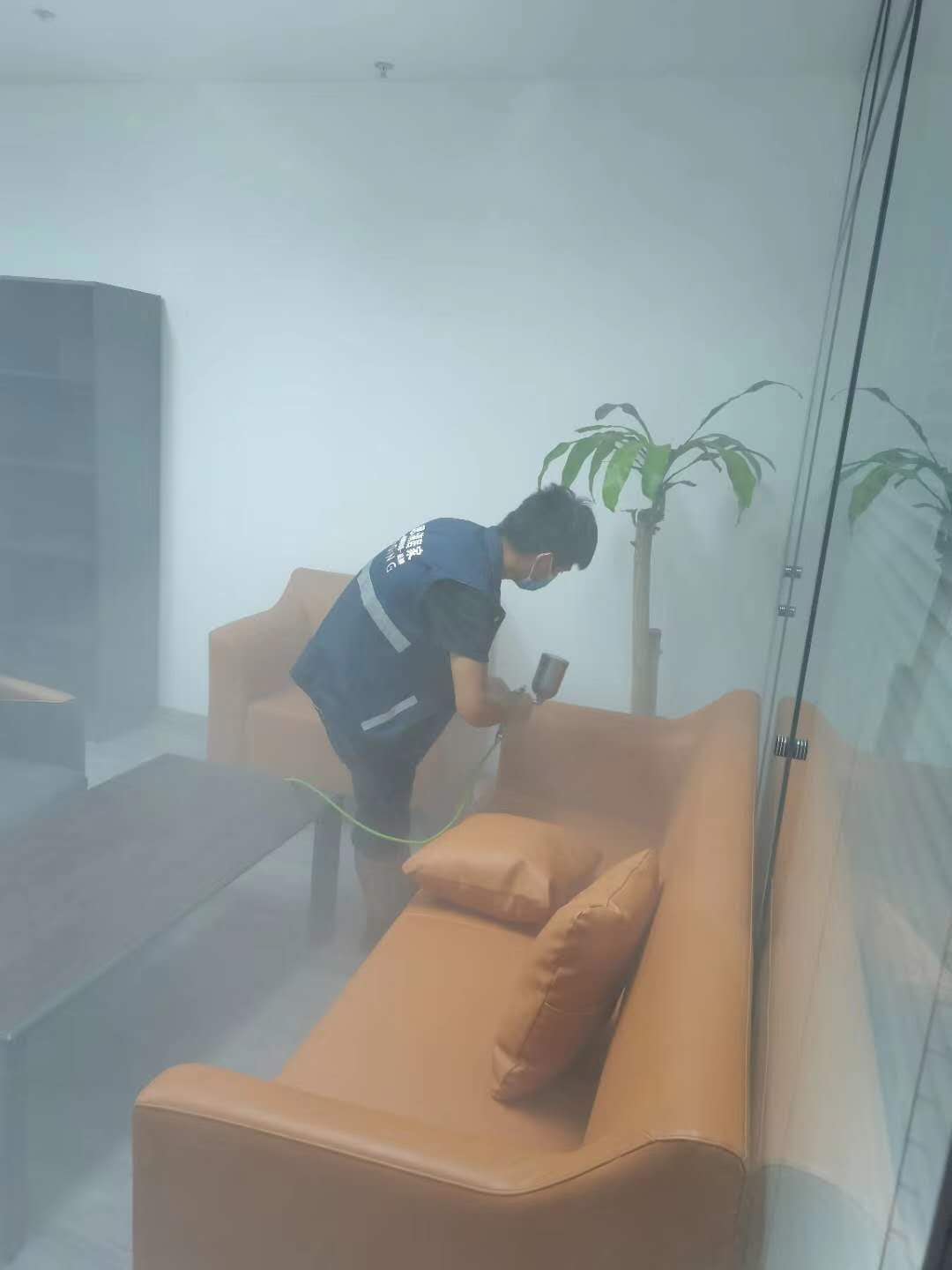 办公室除甲醛
